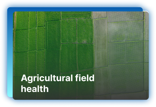 Agricultural field health